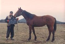 ���ֹ� (ILJUMUN) ����