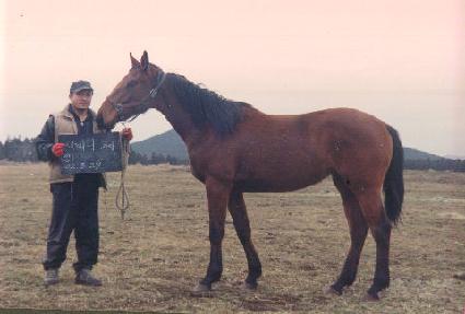 ���ֹ� ����