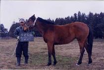 ��ȣ�� (YONGHOSANG) ����