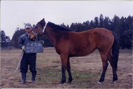 ��ȣ�� ����