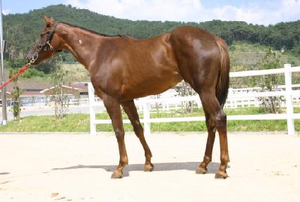 ����ǲ� ����