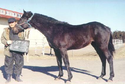 ���� ����