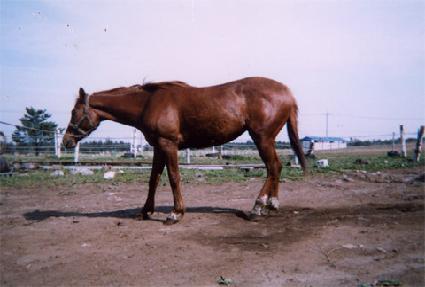 �̷��Ҹ� ����