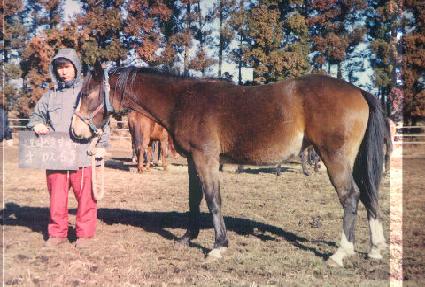 ��ǳ�ô� ����