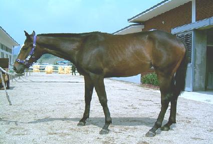 Ŭ���� ����