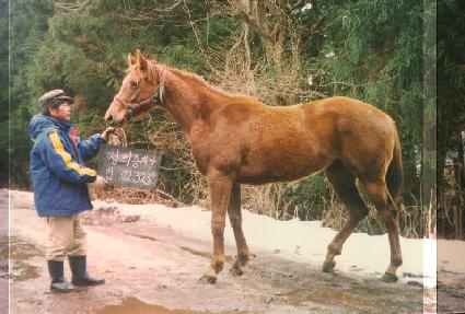 ����Ȧ ����