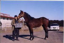 Ʈ������� (TREMENDOUS) ����