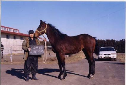 Ʈ������� ����