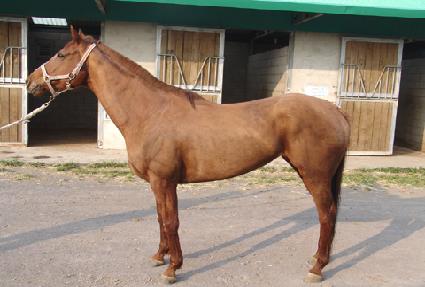 ���뼺 ����