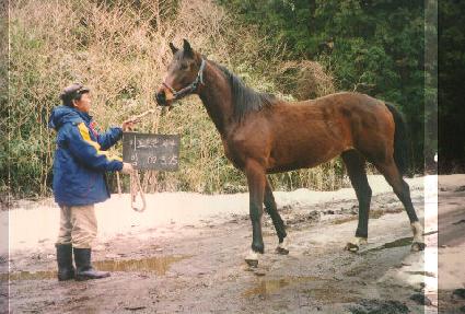 �������̾�Ʈ ����