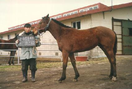 �����̽� ����