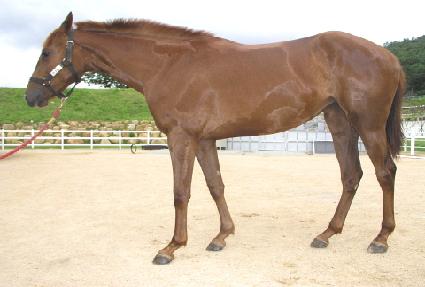 �ٶ����� ����