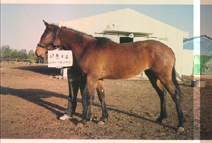 ������ ����