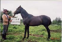 ���� (KKOMA) ����