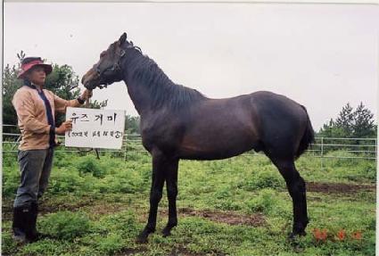 ���� ����