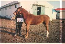 ��� (BAEKDAN) ����