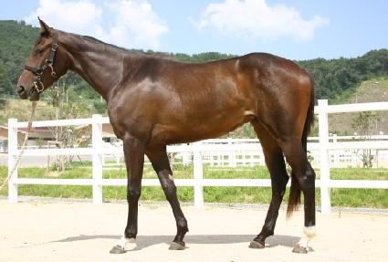 �ϴú��� ����