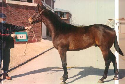 ��ī���� ����