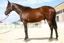 ���Ŀ� (GYEOKPAWANG) ����