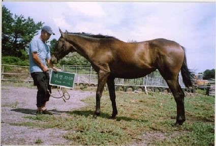 ������ ����