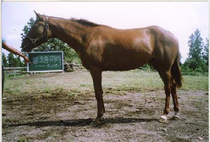 õ���� ����