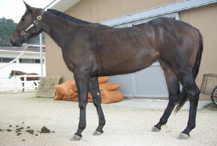 ������Ʈ ����