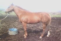 ���似�� (EUTTEUM SEDAE) ����