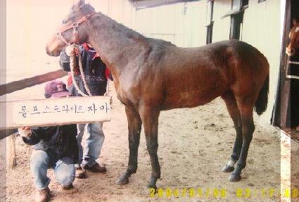 ���� ����