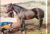 û�ؼ� (CHEONGHAESEONG) ����