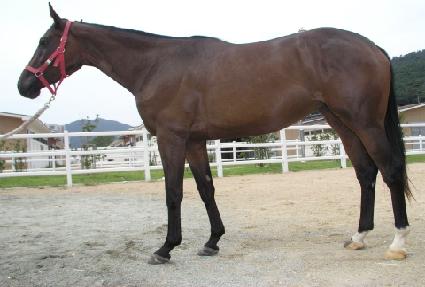 ������ ����