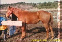 �뱺�� (DAEGUNJU) ����