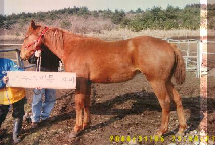 �뱺�� ����