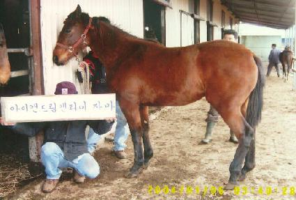 ������� ����