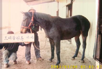 ������ ����