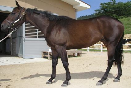 �ε����� ����