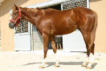 ���з� (GOAMNYEOK) ����