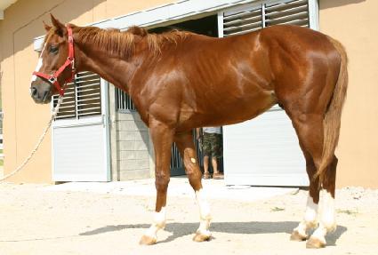 ���з� ����