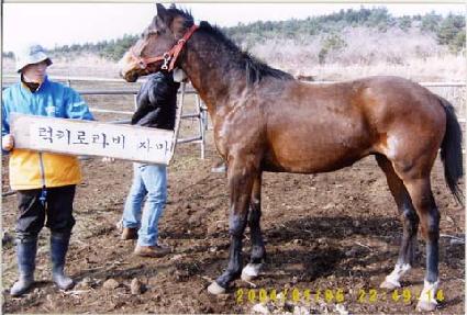 ����ȣ�� ����