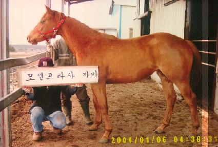 õ���� ����