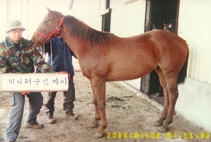 �̱�ť ����