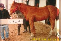 �Դ��� (HAMDAEJANG) ����