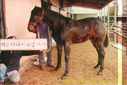 ����� ����