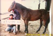 �������� (DUNGJI WANGJA) ����