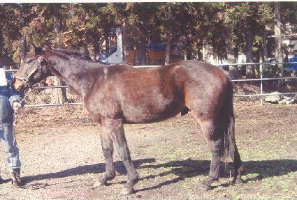 Ǯ���ǵ� ����