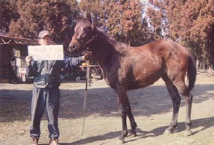 ����ī ����