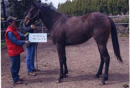 �������� ����