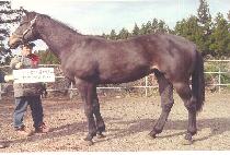 �յη� (WANGDURE) ����