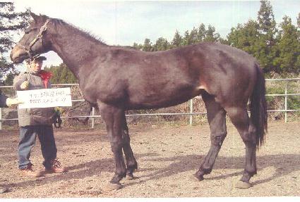 �յη� ����