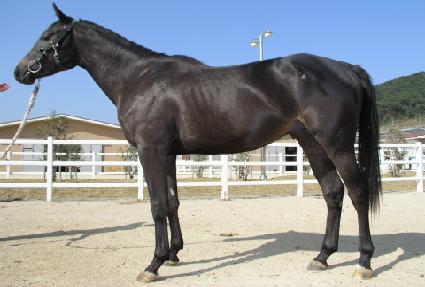 ������ ����