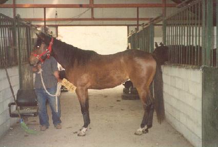 �����ڸ� ����